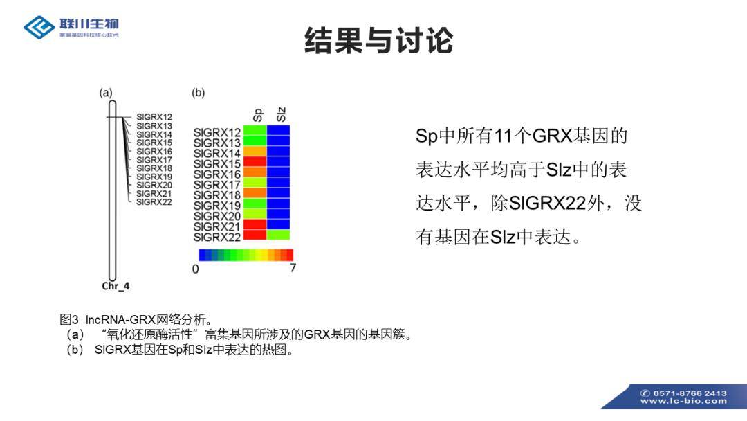 2025澳門內(nèi)部資料,調(diào)整方案執(zhí)行細(xì)節(jié)_明版15.32.47實證分析解析說明_Executive43.99.74