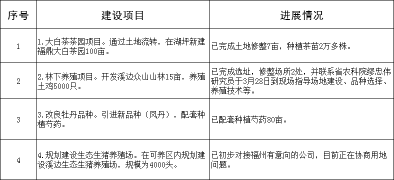 安全解析策略（基于你提到的“鉑金版安全解析策略”）