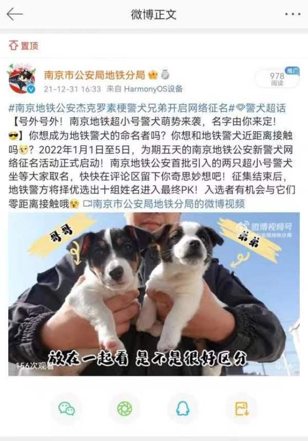 班味過重導(dǎo)致警犬沒收年終獎