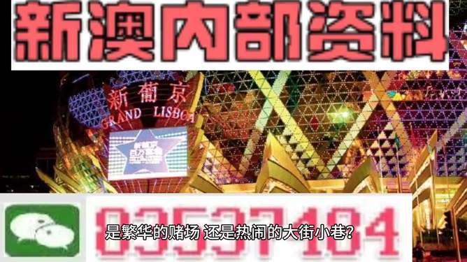 新澳門精準(zhǔn)資料大全管家婆料06期,黃友政1比3不敵張本智和實時解答解析說明_豪華版34.61.76