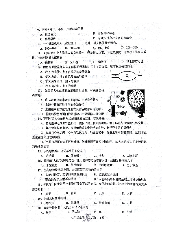 2025年2月23日 第7頁