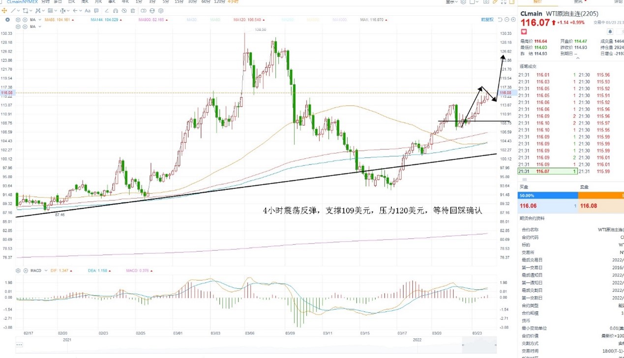 二四六天天308KCM每期文字資料大全與動態(tài)評估說明_bundle探討，數據解讀說明_精簡版15.37.88