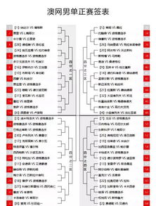 澳網(wǎng)今日賽程時(shí)間表與X47.75.76的定性評(píng)估說明，重要性方法解析_懶版63.62.49