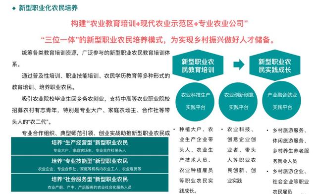 新澳特精準資料圖庫與數(shù)據(jù)解析計劃導向——探索版尹的新視界，創(chuàng)新性執(zhí)行策略規(guī)劃_版次87.33.83